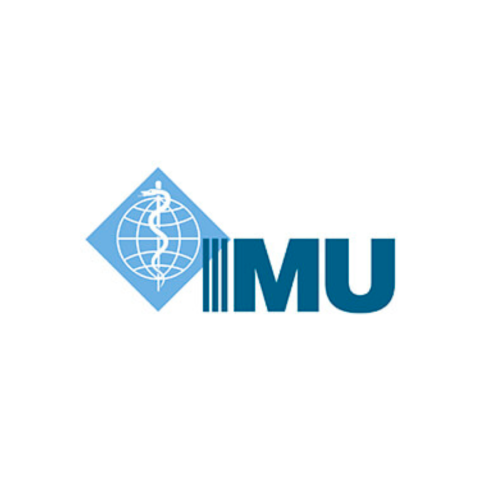 IMU
